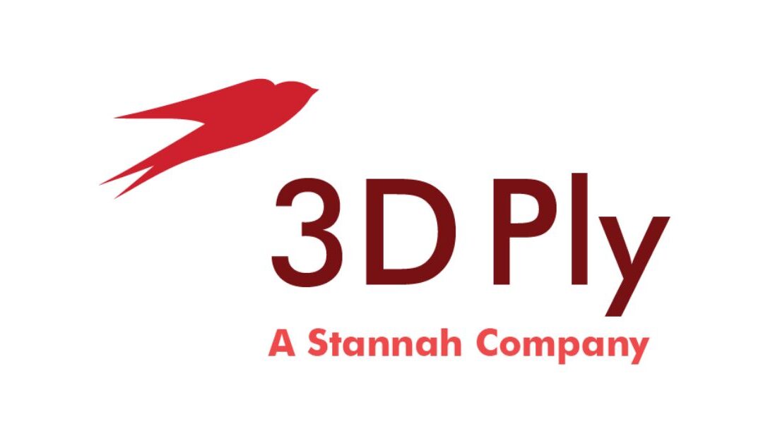 3D Ply
